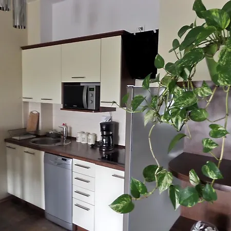 Apartamenty Silver Premium-3