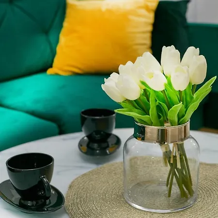 Stara Praga Vistula Apartment By Bookinghost-3