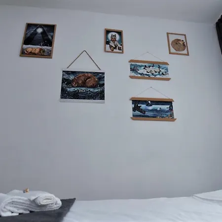 Hello Warsaw! Calm Artistic City Center Apartment-2