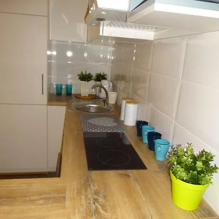 Apartament Nikola-2