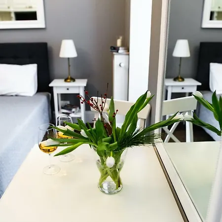 Apartment Hoza 50 With A Balcony In Close Center-2
