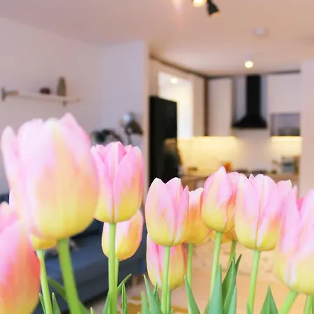 Comfy With Great City View By Cooee Apartments-2
