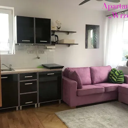 Deluxe Panska Apartments-3