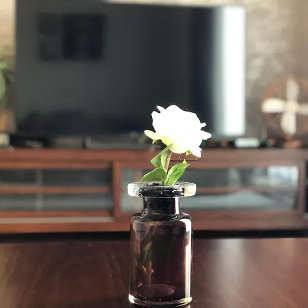 Apartament Koszykowa Latwiec Śródmiescie południowe-2
