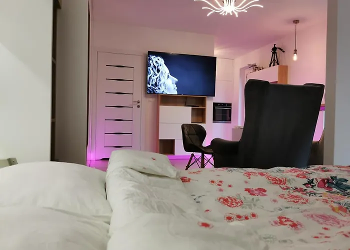 Luxury Apartment