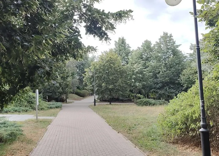 Апартаменти Zielona Wiolinowa Варшава, Польща