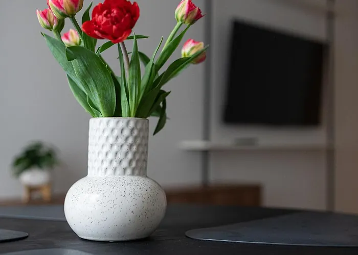 Apartament Mlynow Warszawa, Polska
