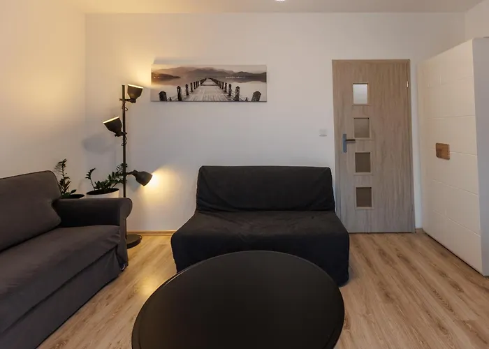 Apartament 2-108 in RC Warsaw cozy Wola, 32 Jana Kazimierza,Petrovdoma partments, Polska